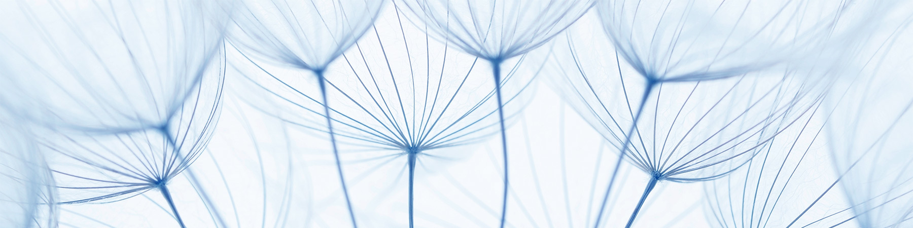 Psychedelic Integration Psychedelic Integration